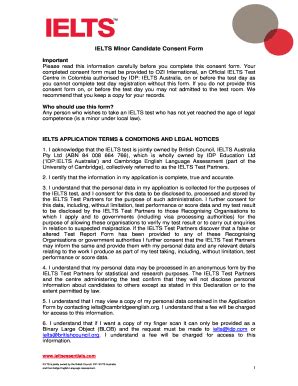 Consent Form Idp 2020-2026 - Fill and Sign Printable Template Online
