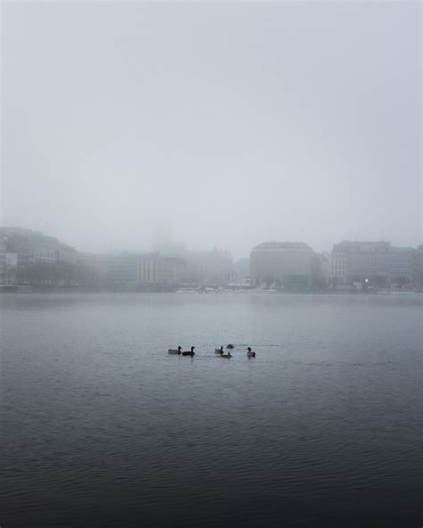 Law Wallpaper 4K 的图像结果