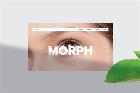 Image result for PowerPoint Morph Examples