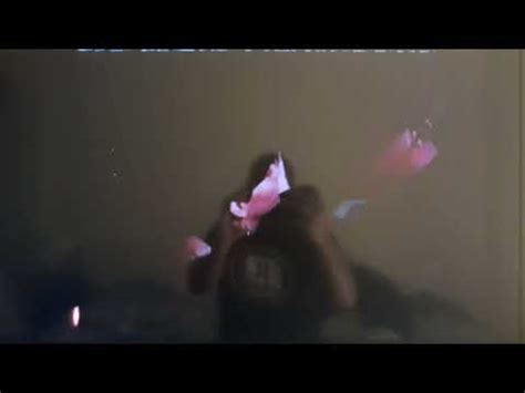 Image result for Cops Intro Retro Junk