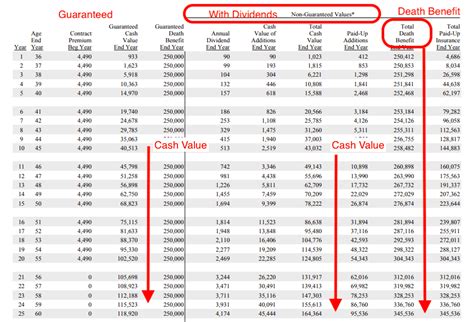 Image result for Compare Life Insurance Plans