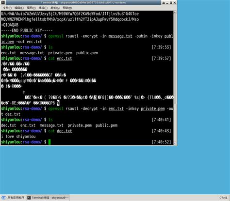 How to Pull RSA Token From EXEFile 的图像结果
