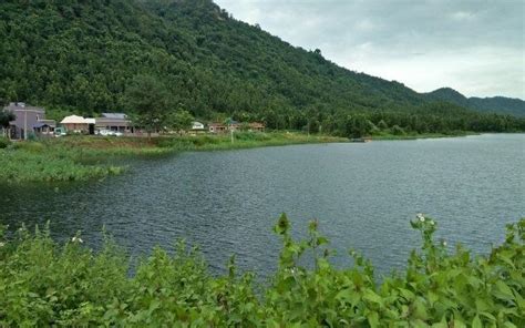 Duarsini- The Mystical Forest Of Bengal | WhatsHot Kolkata