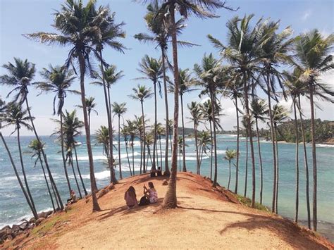 NATURE INN (Mirissa) - Guesthouse Reviews & Photos - Tripadvisor