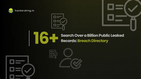 Breach Directory: Search Over 16 Billion Public Leaked Records — Why It ...