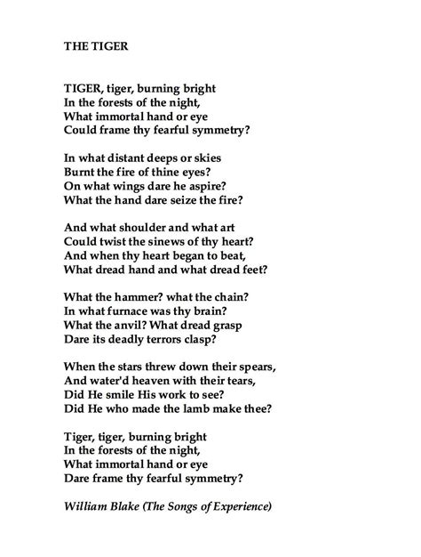 ⭐ Tiger tiger in the night poem. The Tiger : A POEM by William Blake ...