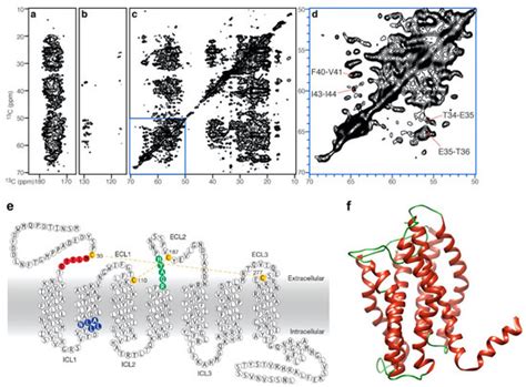 Membrane Protein Structure Determination and Characterisation by ...