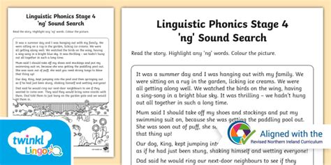 Linguistic Phonics Stage 4 'ng' Story Search Activity Sheet