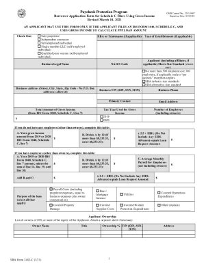 Paycheck Protection Program Borrower Application Form 的图像结果