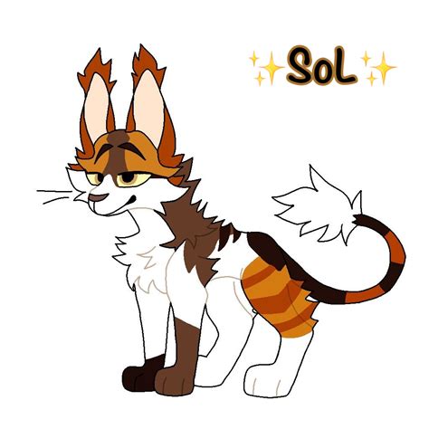 Warrior Cats/Sol