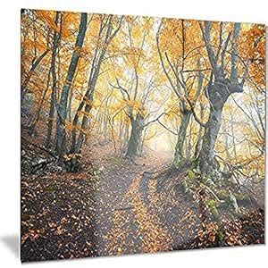 Dark Yellow Old Forest in Fog - L &Scape Photo Metal Wall Art - MT8624 ...
