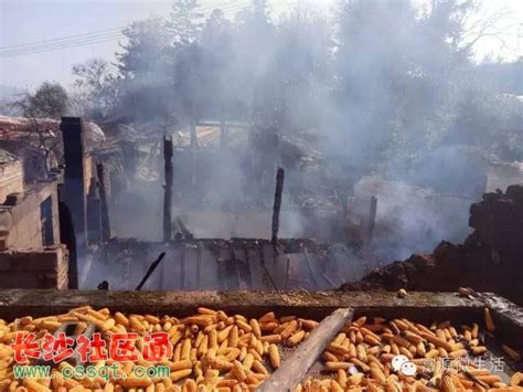 贵州侗寨发生火灾烧毁二十多间房屋|界面新闻 · 图片