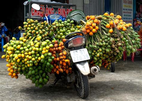 Image result for Alcohol THC Extraction Methods