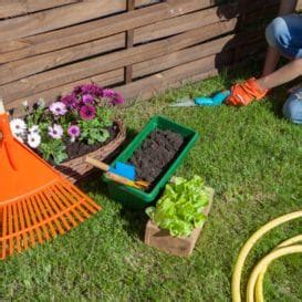 Super Nursery - Premier Plant Nursery in Malihabad, Lucknow, Uttar Pradesh