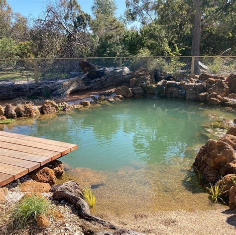 Swim Pond Kit | Recreation Pond Kits | Natural swimming ponds, Swimming ...