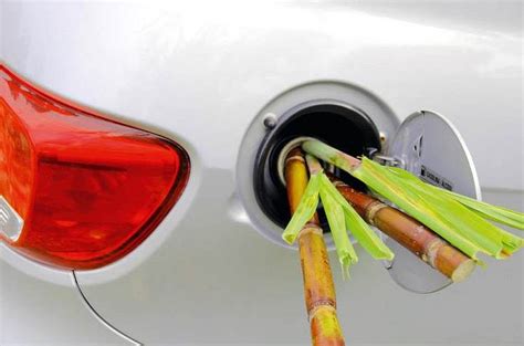 SIAM celebrates World Biofuel Day with virtual seminar | Autocar ...