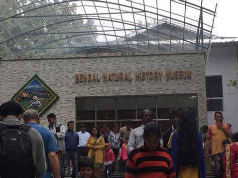Bengal Natural History Museum (Darjeeling) - What to Know Before You Go ...