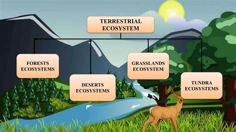 Types of Ecosystem | PPTX