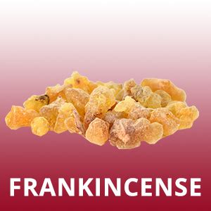 Buy La French Cuddle Perfume Scent For Women 30 ml | Premium Luxury ...