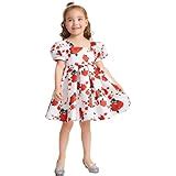 Buy & Try Girl's Satin Floral Printed Knee Length Short Frock Dress ...