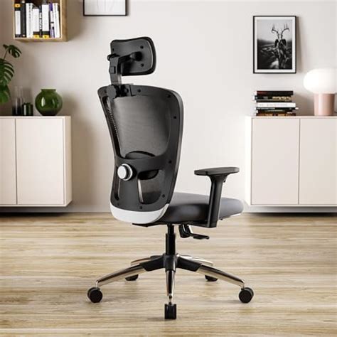 Featherlite ''Liberate'' High Back Mesh Home & Office Ergonomic Chair ...