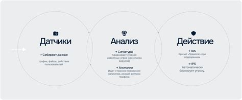 IDS и IPS: что это такое? Системы обнаружения и предотвращения ...