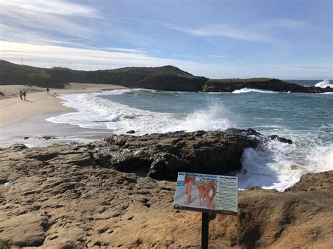 Bean Hollow State Beach: Explore Pebble beach - duoveo
