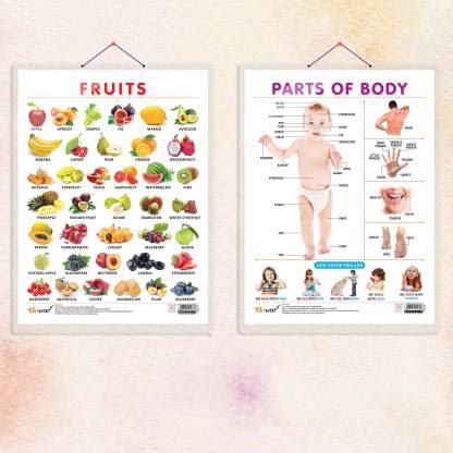 FRUITS CHART HARD LAMINATED and PARTS OF BODY CHART HARD LAMINATED ...