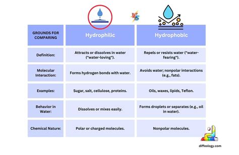 Hydrophilic Vs Hydrophobic