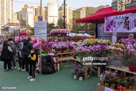 Visit the Flower Market in New Year 的图像结果