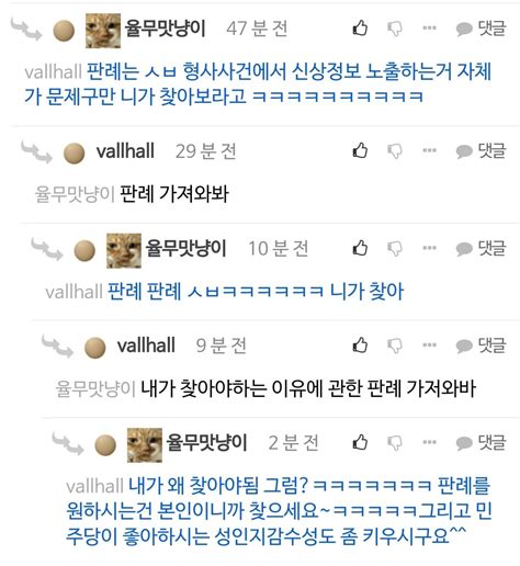Vallhall 얘 진짜 웃기네 판례무새네 - 정치/시사 - 에펨코리아