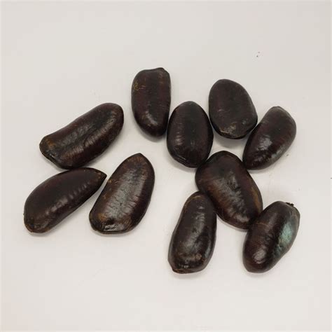 So You Have Pawpaw Seeds. Now What? - Libbey Farm