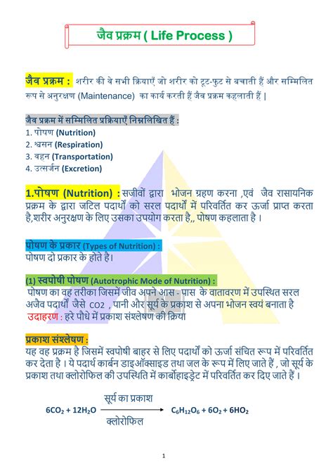 Class 10 Ch.16 Science Notes 的图像结果