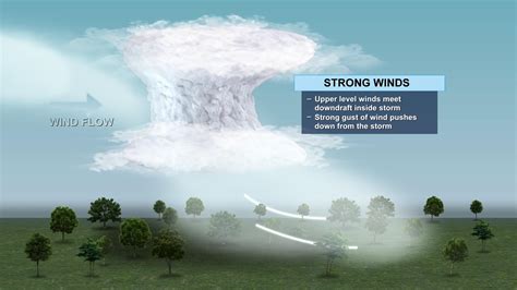 Severe Weather Awareness Week: Gust fronts, explained | WOODTV.com
