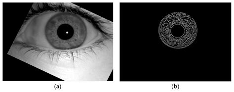Real-Time Human Authentication System Based on Iris Recognition