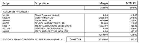 What is a Daily Margin Statement and How to Read it?