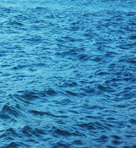 Ocean Monument Tutorial 的图像结果