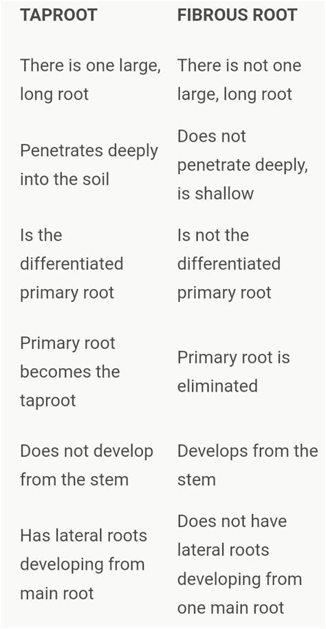 what is difference between taproot and fibrous root if you give answer ...