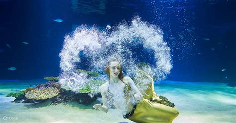 63 Building Observatory & Aqua Planet 63 Admission Ticket in Seoul ...