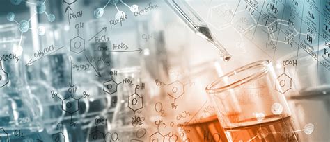 Best Ph.D University in Telanagna -SR University