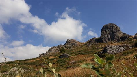 Serbia 的图像结果