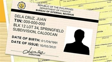 Step-by-step Guide on How to Avail Digital TIN ID | Blog