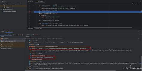 PyCharm Debug 的图像结果