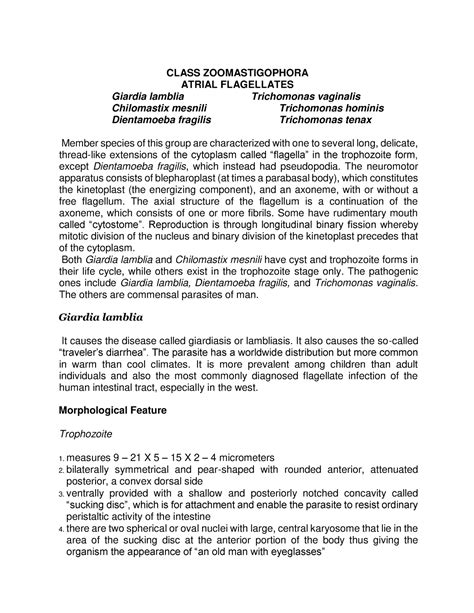 Reviewer Class Zoomastigophora - CLASS ZOOMASTIGOPHORA ATRIAL FLAGELLATES Giardia lamblia - Studocu