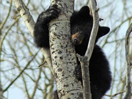FotoATLAS - Parque Nacional Riding Mountain