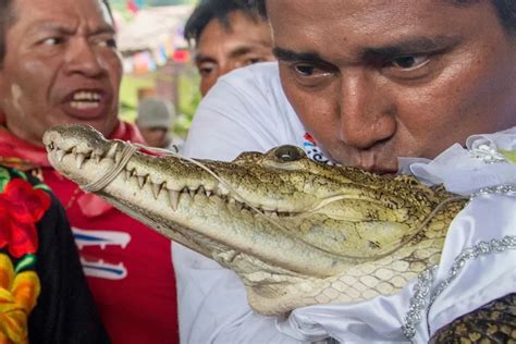 Mayor in Mexico marries a crocodile, Here's why