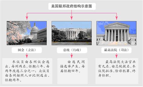 高中历史第三单元第8课《美国联邦政府的建立》（必修1） - 同桌100学习网