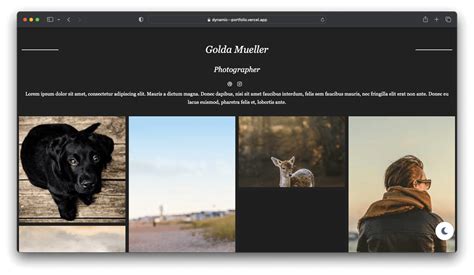 Image result for Create a Dynamic Website for Portfolio From Scratch