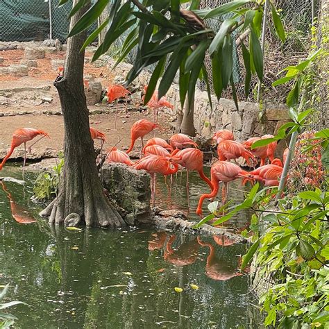 ARDASTRA GARDENS & WILDLIFE CONSERVATION CENTRE (2026) All You Need to ...