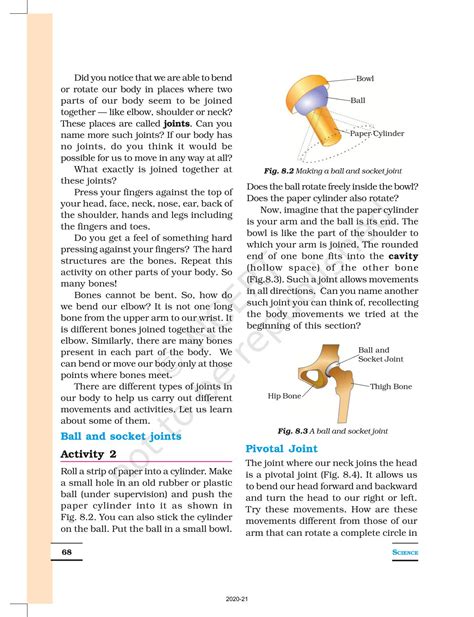 Image result for Class 6 Science Body Movements